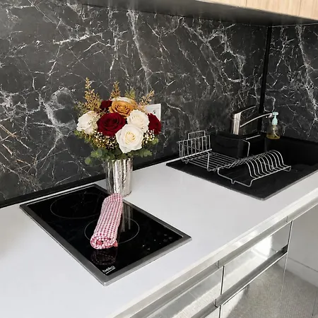 Le Shakespeare 18 Mezzanine Apartman Nizza